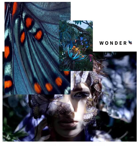 2019深圳時(shí)裝周倒計(jì)時(shí) | She's蝶變主題秀，四大看點(diǎn)提前get！