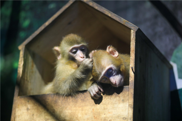 探索萌寵王國：游樂科普兩不誤 百余種野生動物“萌翻”