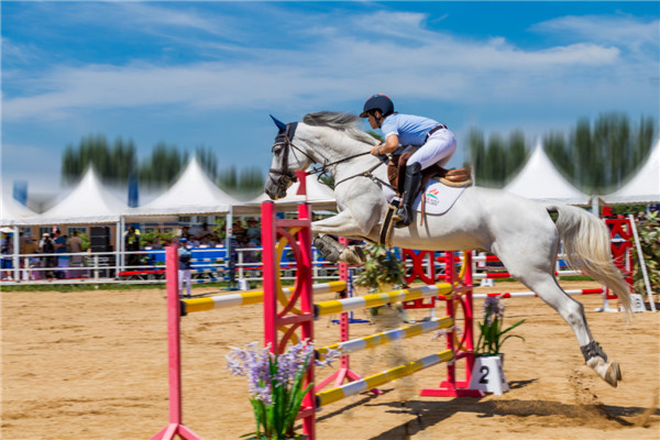青島生物高新科技產(chǎn)業(yè)園：三產(chǎn)融合撬動(dòng)生物產(chǎn)業(yè)發(fā)展新動(dòng)能