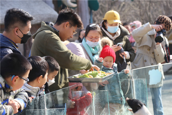 青島森林野生動(dòng)物世界萌寵動(dòng)物陪你留青就地過年
