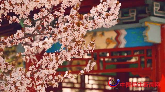 “凝聚精神的力量”恒星學(xué)院文化系列報道之一：成就他人 幸福你我