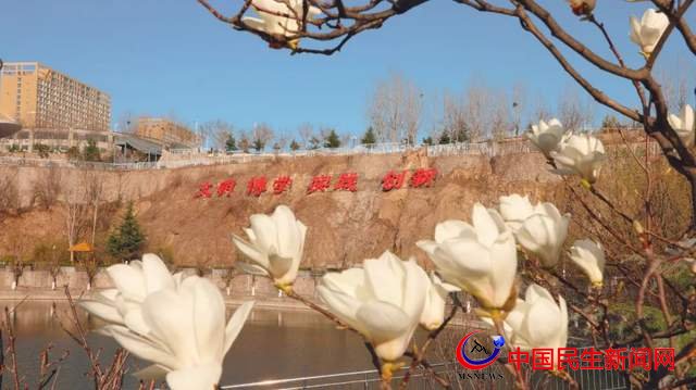 “凝聚精神的力量”恒星學院文化系列報道之十三：大學發(fā)展“123戰(zhàn)略”