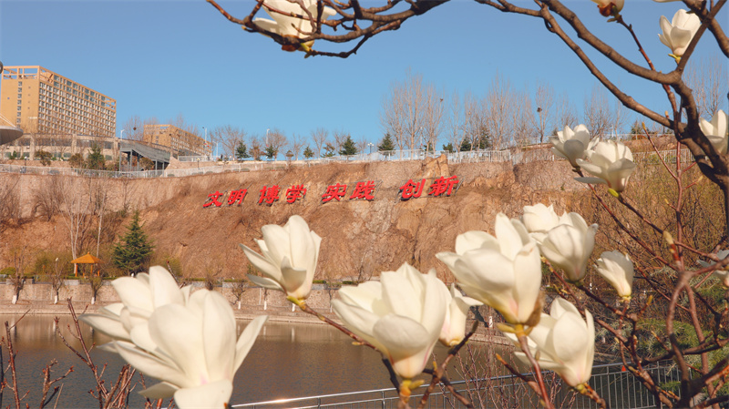 “凝聚精神的力量”恒星學(xué)院文化系列報道十九：大學(xué)校訓(xùn)