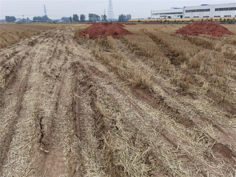 諸城市辛興鎮(zhèn)發(fā)展工業(yè)強(qiáng)行占耕地建廠，導(dǎo)致七八戶農(nóng)民無(wú)地可種