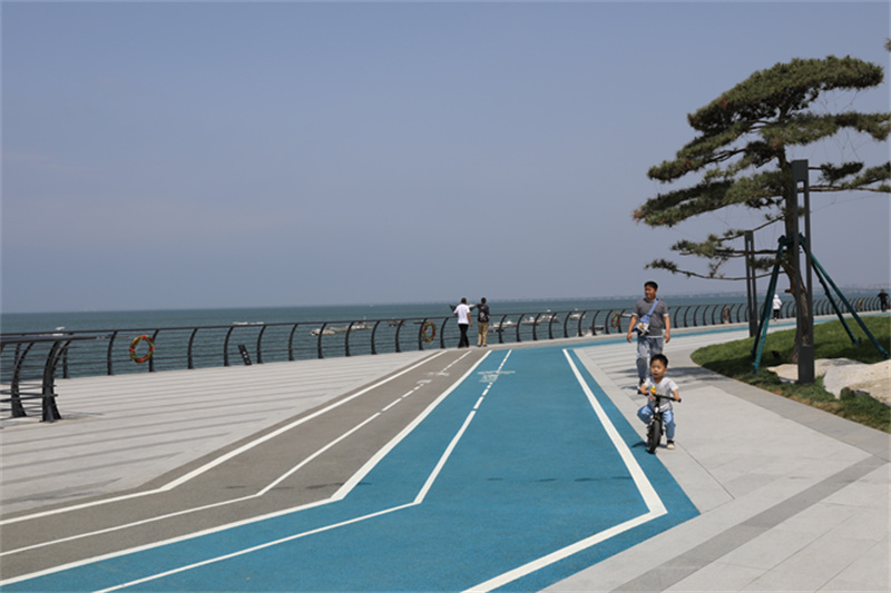 綠”動(dòng)海岸線，“道”處是風(fēng)景走，一起打卡市北濱海綠道看后海新“潮”