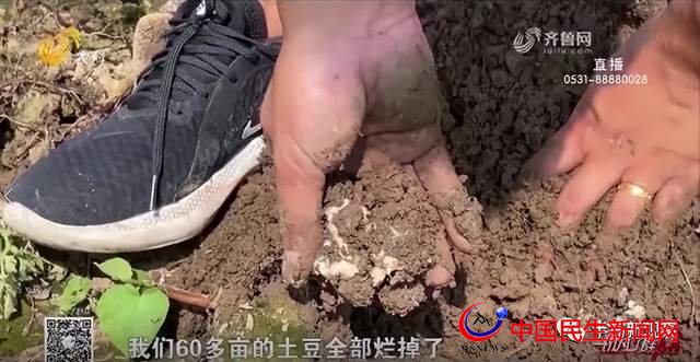 山東高速路橋集團真霸道 施工“需要”致數(shù)百畝農(nóng)田被淹