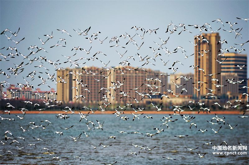 再添“國字號(hào)招牌”！青島市城陽區(qū)獲評(píng)生態(tài)文明建設(shè)示范區(qū)