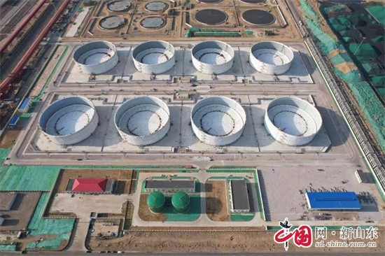 “五個(gè)最”!青島港董家口港區(qū)港口項(xiàng)目實(shí)現(xiàn)“全面開花”