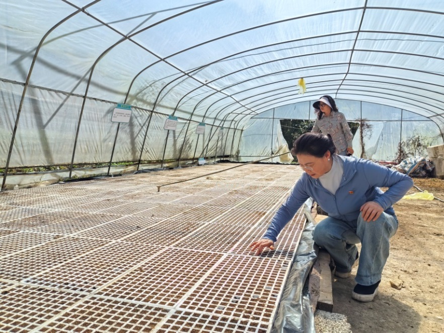 金融活水潤巴渝：中國人壽壽險公司創(chuàng)新服務(wù)助力鄉(xiāng)村振興紀(jì)實