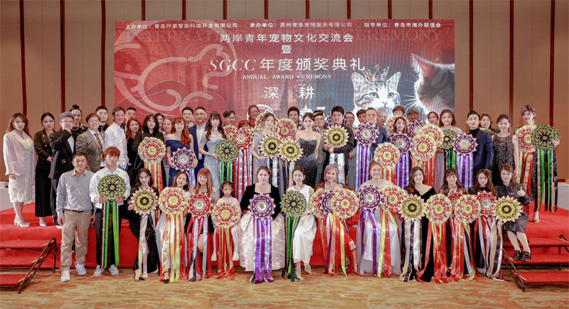 兩岸青年“共寵”新景 青島這場(chǎng)盛會(huì)以 “深耕”智能繪就行業(yè)新篇